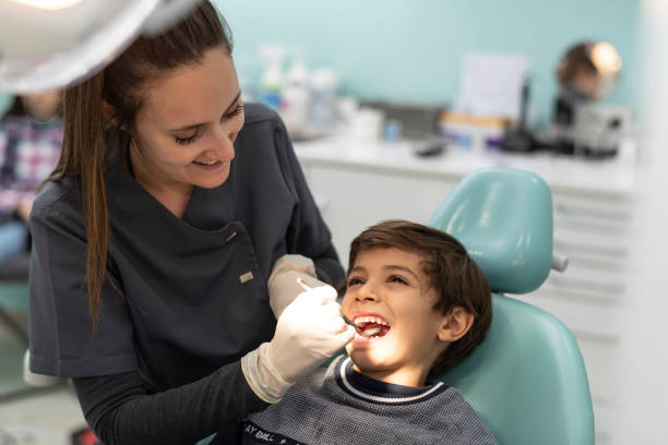 Best Emergency X-Rays and Diagnostics in Murphys, CA